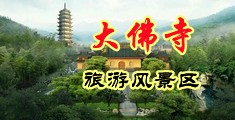 狂插骚在线观看中国浙江-新昌大佛寺旅游风景区